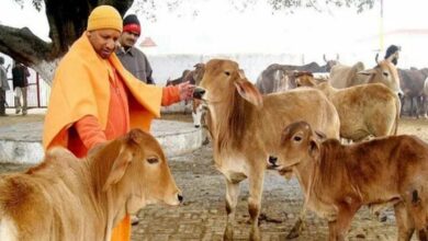 Photo of CM Yogi का बड़ा कदम, 93 हजार से ज्यादा लोगों को सौंपे गए 1.67 लाख गोवंश