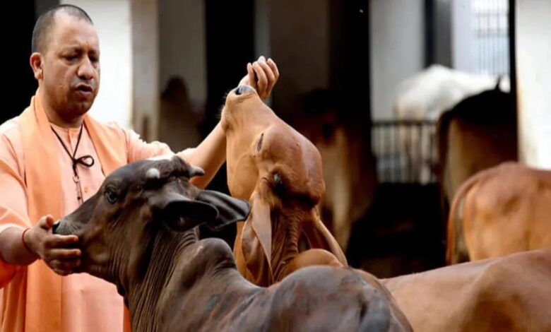 Uttar Pradesh Tourism