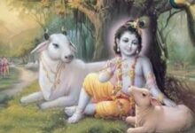 Photo of श्रीकृष्ण की प्रिय हैं ये 4 राशियां, जन्माष्टमी से शुरू होंगे अच्छे दिन, धन-समृद्धि के बनेंगे योग