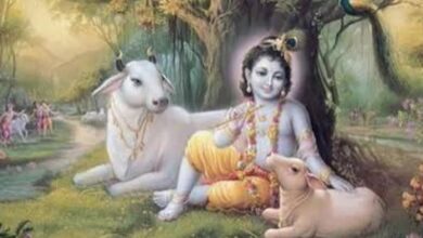 Photo of श्रीकृष्ण की प्रिय हैं ये 4 राशियां, जन्माष्टमी से शुरू होंगे अच्छे दिन, धन-समृद्धि के बनेंगे योग