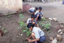 Photo of योगी सरकार में पर्यावरण संरक्षण की पाठशाला बनेंगे विद्यालय, प्रार्थना सभा में होगी ई-वेस्ट पर प्रश्नोत्तरी और गतिविधियां