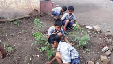 Photo of योगी सरकार में पर्यावरण संरक्षण की पाठशाला बनेंगे विद्यालय, प्रार्थना सभा में होगी ई-वेस्ट पर प्रश्नोत्तरी और गतिविधियां