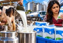 Photo of Milk Price Hike : दूध खरीदने वालों को झटका, 8 रुपये महंगा हुआ दूध, जानें क्या हैं नई कीमतें