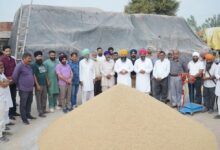 Photo of Punjab News : किसानों की फसल का एक-एक दाना खरीदने के लिए मान सरकार प्रतिबद्ध