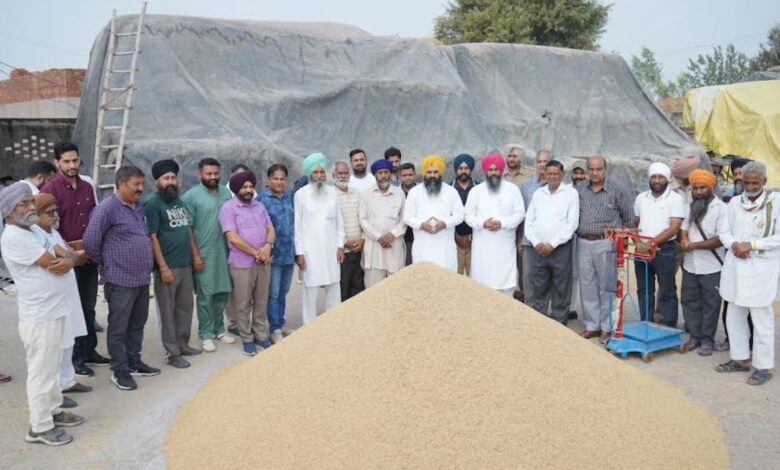 Punjab Farmers
