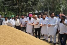 Photo of पंजाब में धान खरीद तेज, 3.44 लाख MT की खरीद पूरी, किसानों को ₹188 करोड़ का भुगतान