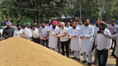 Photo of पंजाब में धान खरीद तेज, 3.44 लाख MT की खरीद पूरी, किसानों को ₹188 करोड़ का भुगतान