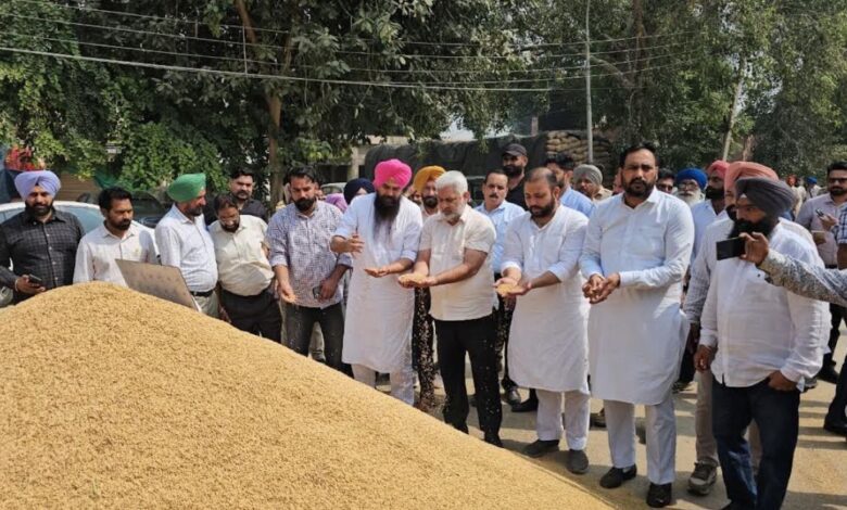 Punjab Paddy Procurement