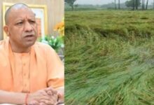 Photo of UP में बारिश से फसलों को नुकसान, CM योगी ने किसानों को मुआवजा देने के दिए निर्देश
