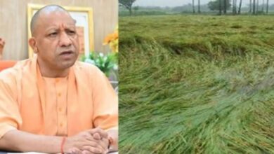 Photo of UP में बारिश से फसलों को नुकसान, CM योगी ने किसानों को मुआवजा देने के दिए निर्देश