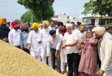 Photo of पंजाब की मंडियों में 8.50 लाख मीट्रिक टन धान की आवक, 7.50 लाख मीट्रिक टन की खरीद