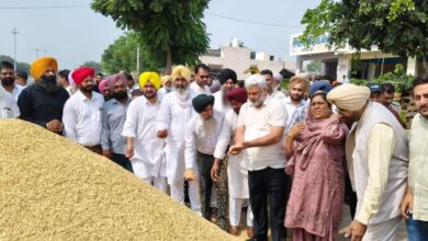 Photo of पंजाब की मंडियों में 8.50 लाख मीट्रिक टन धान की आवक, 7.50 लाख मीट्रिक टन की खरीद