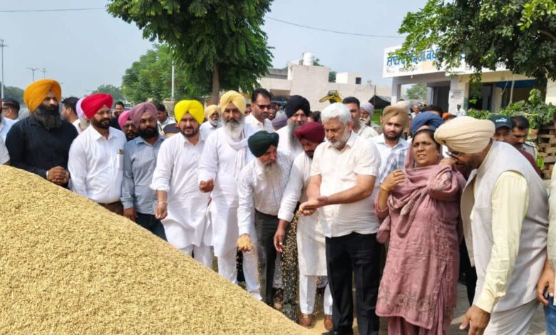 Punjab News