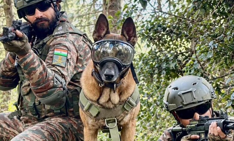 Kupwara Encounter